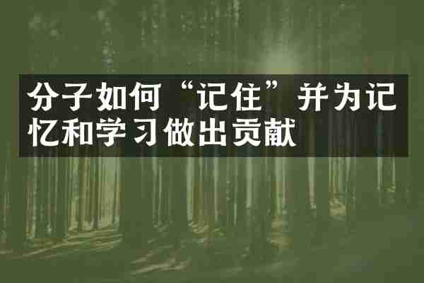 分子如何&ldquo;记住&rdquo;并为记忆和学习做出贡献