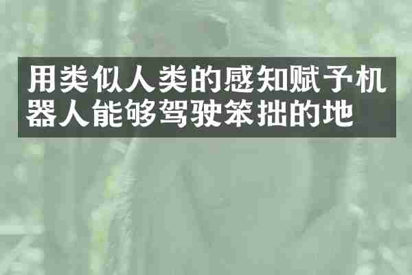 用类似人类的感知赋予机器人能够驾驶笨拙的地形