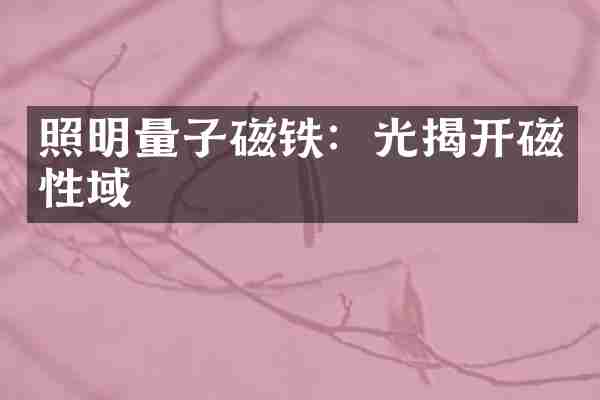 照明量子磁铁：光揭开磁性域