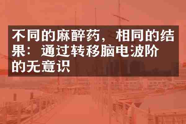 不同的麻醉药，相同的结果：通过转移脑电波阶段的无意识