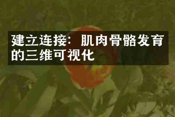 建立连接：肌肉骨骼发育的三维可视化