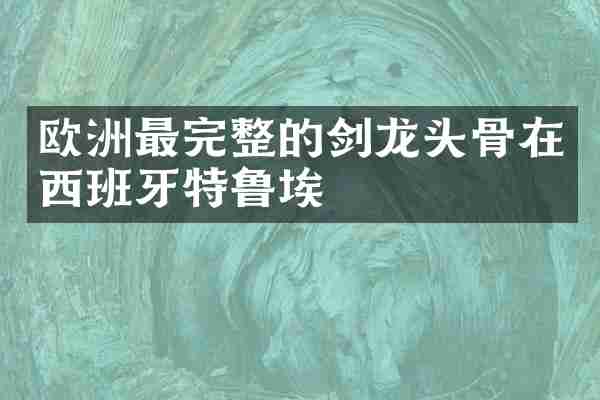 欧洲最完整的剑龙头骨在西班牙特鲁埃