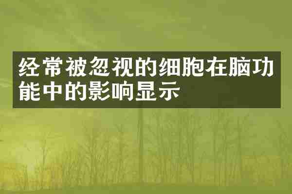 经常被忽视的细胞在脑功能中的影响显示