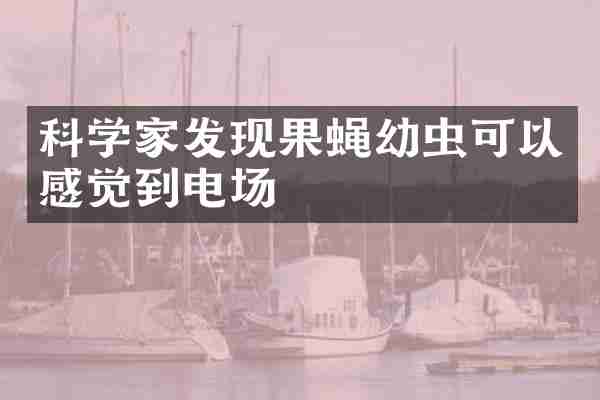 科学家发现果蝇幼虫可以感觉到电场