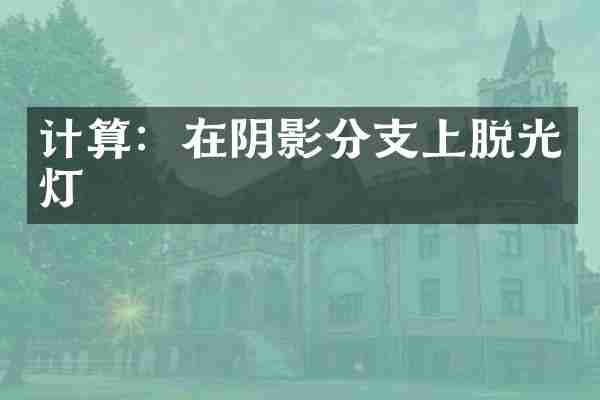 计算：在阴影分支上脱光灯