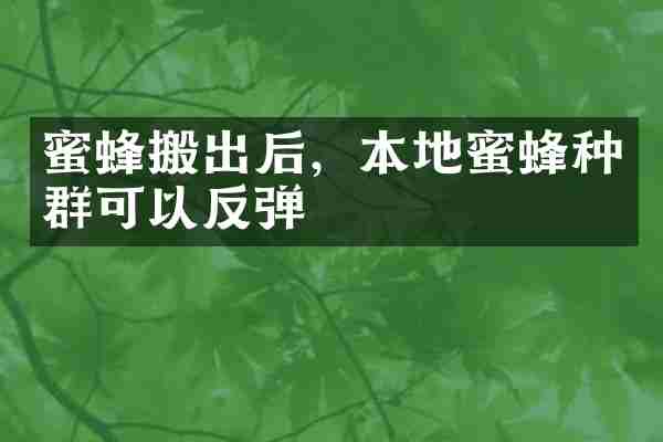 蜜蜂搬出后，本地蜜蜂种群可以反弹