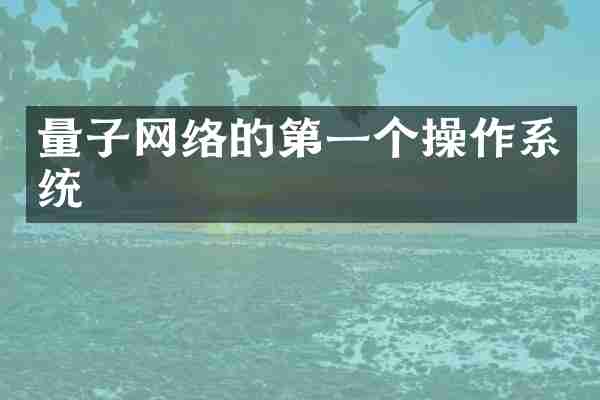 量子网络的第一个操作系统