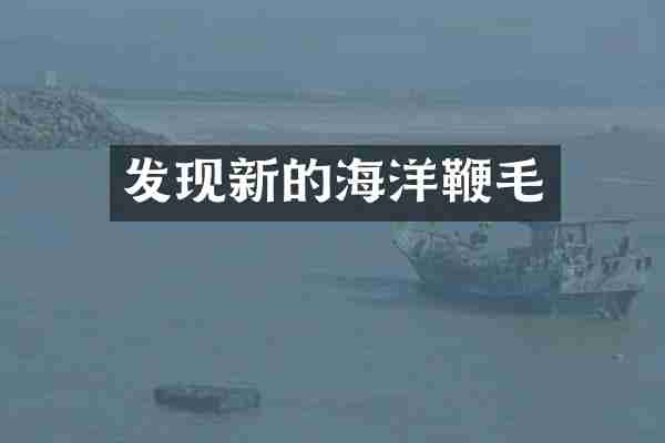 发现新的海洋鞭毛
