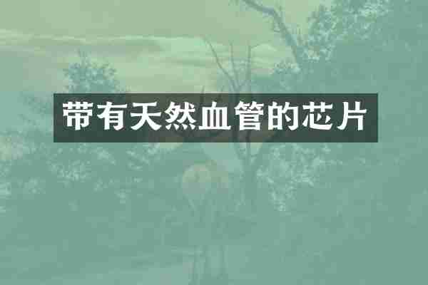 带有天然血管的芯片