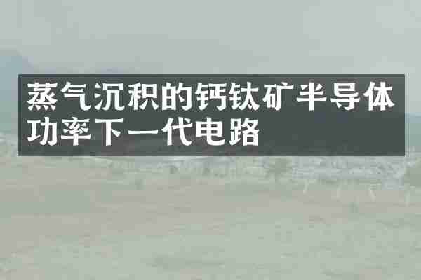 蒸气沉积的钙钛矿半导体功率下一代电路