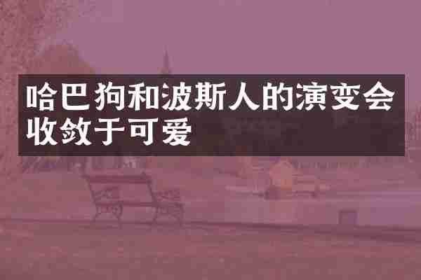 哈巴狗和波斯人的演变会收敛于可爱