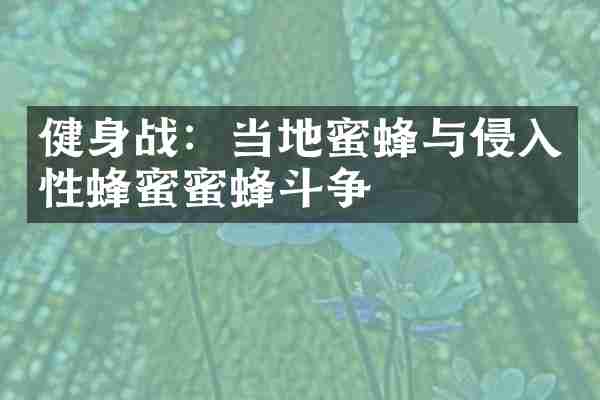 健身战：当地蜜蜂与侵入性蜂蜜蜜蜂斗争