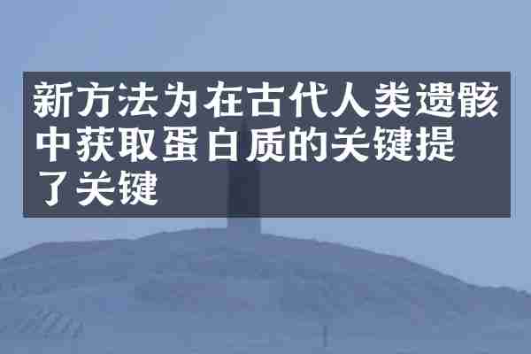 新方法为在古代人类遗骸中获取蛋白质的关键提供了关键