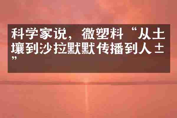 科学家说，微塑料&ldquo;从土壤到沙拉默默传播到人类&rdquo;