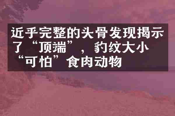 近乎完整的头骨发现揭示了&ldquo;顶端&rdquo;，豹纹大小的&ldquo;可怕&rdquo;食肉动物