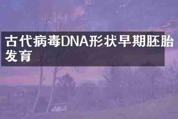 古代病毒DNA形状早期胚胎发育