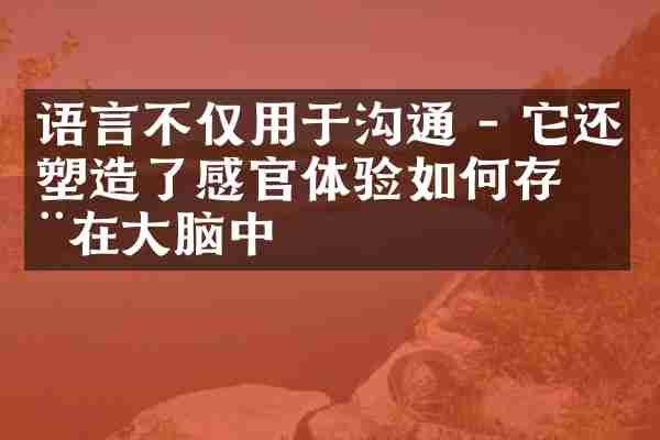 语言不仅用于沟通 - 它还塑造了感官体验如何存储在大脑中