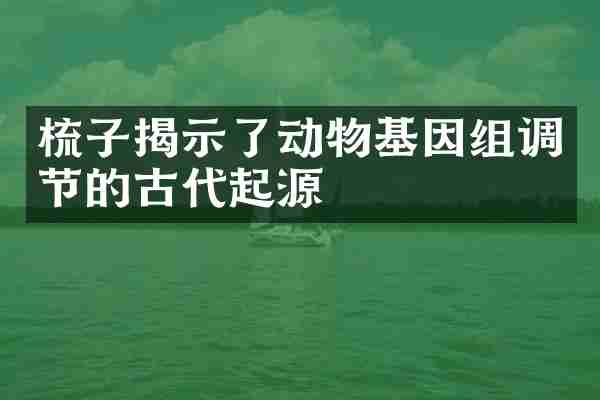 梳子揭示了动物基因组调节的古代起源