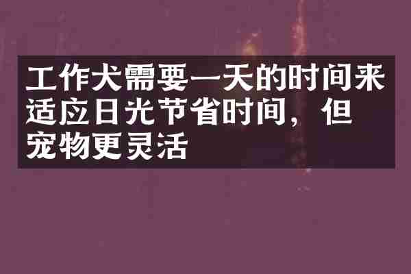 工作犬需要一天的时间来适应日光节省时间，但是宠物更灵活