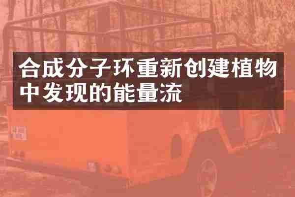 合成分子环重新创建植物中发现的能量流