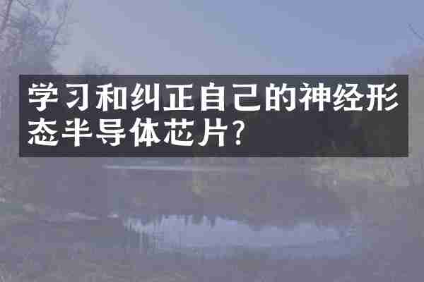 学习和纠正自己的神经形态半导体芯片？