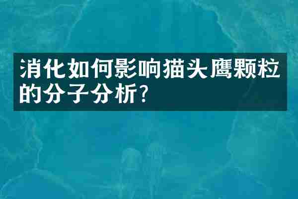消化如何影响猫头鹰颗粒的分子分析？