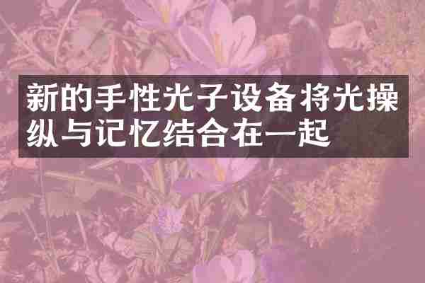 新的手性光子设备将光操纵与记忆结合在一起