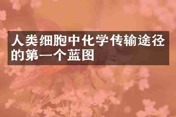 人类细胞中化学传输途径的第一个蓝图