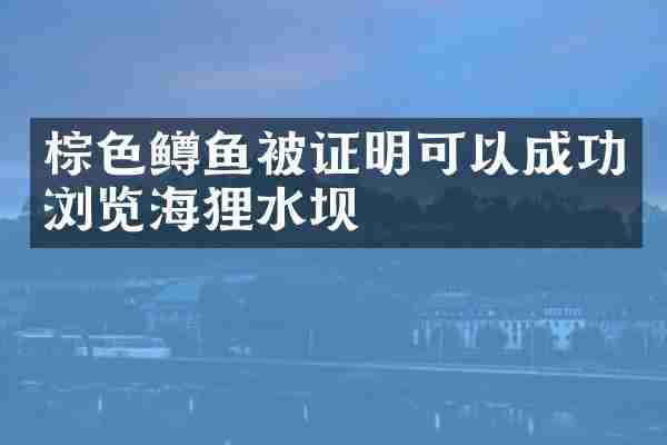 棕色鳟鱼被证明可以成功浏览海狸水坝