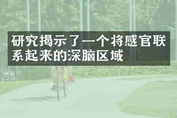 研究揭示了一个将感官联系起来的深脑区域