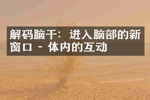 解码脑干：进入脑部的新窗口 - 体内的互动