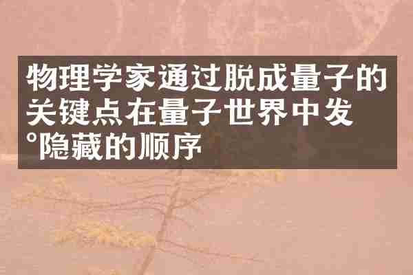 物理学家通过脱成量子的关键点在量子世界中发现隐藏的顺序