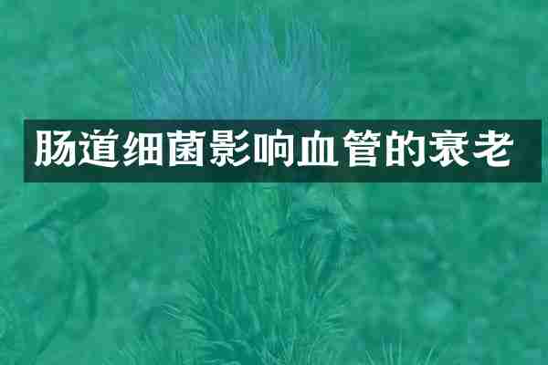 肠道细菌影响血管的衰老