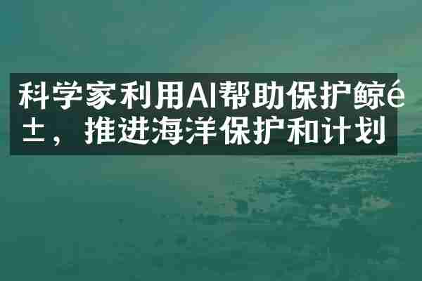 科学家利用AI帮助保护鲸鱼，推进海洋保护和计划