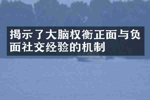 揭示了大脑权衡正面与负面社交经验的机制