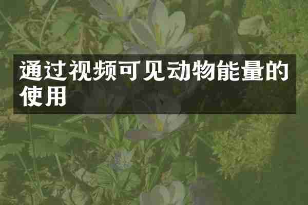 通过视频可见动物能量的使用