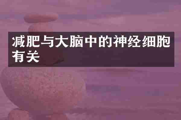 减肥与大脑中的神经细胞有关