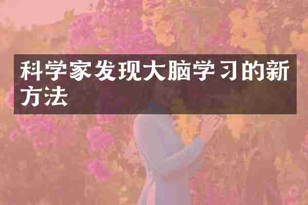 科学家发现大脑学习的新方法