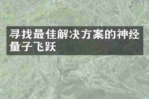 寻找最佳解决方案的神经量子飞跃