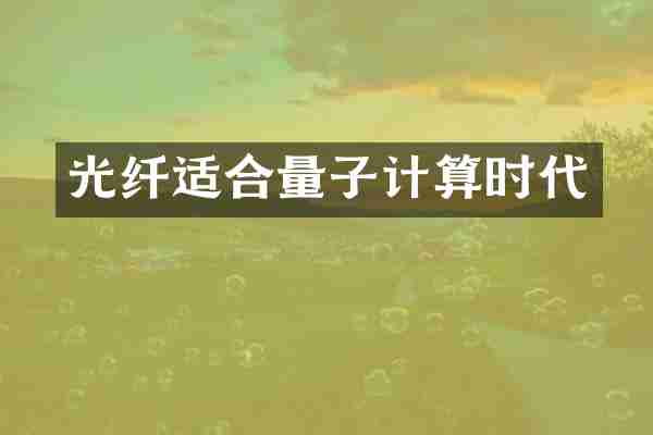 光纤适合量子计算时代