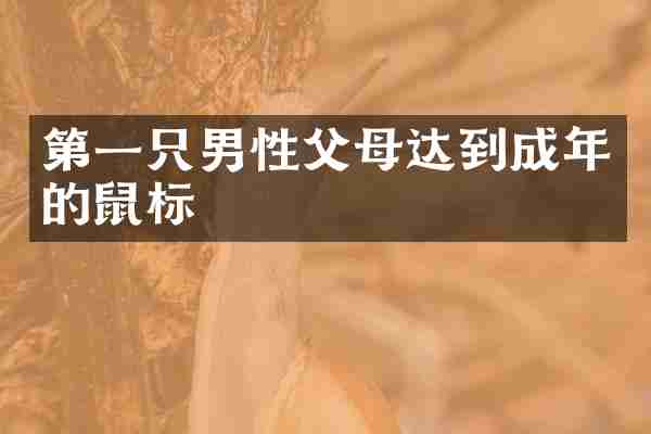 第一只男性父母达到成年的鼠标