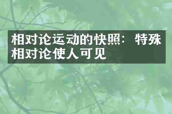 相对论运动的快照：特殊相对论使人可见