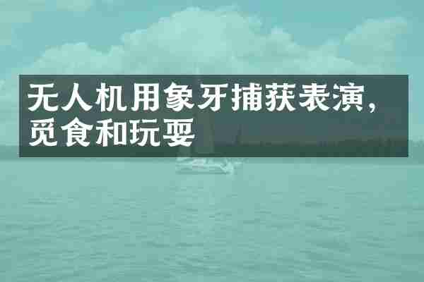 无人机用象牙捕获表演，觅食和玩耍