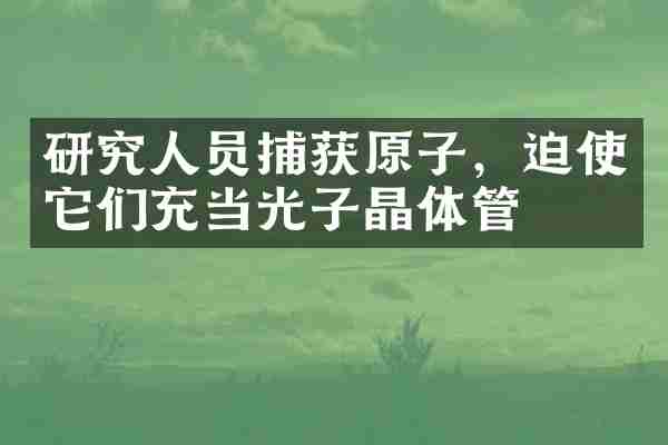 研究人员捕获原子，迫使它们充当光子晶体管