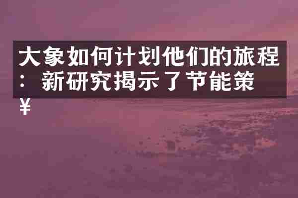 大象如何计划他们的旅程：新研究揭示了节能策略