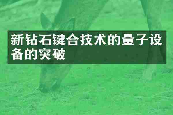 新钻石键合技术的量子设备的突破