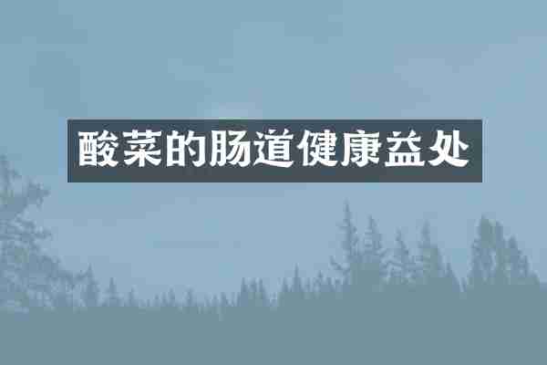 酸菜的肠道健康益处