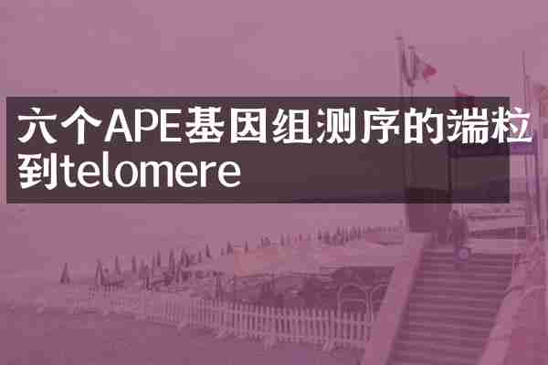 六个APE基因组测序的端粒到telomere