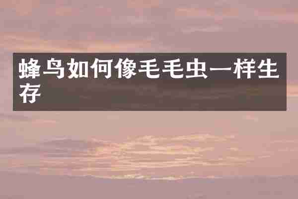 蜂鸟如何像毛毛虫一样生存