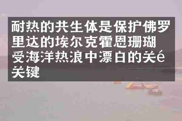耐热的共生体是保护佛罗里达的埃尔克霍恩珊瑚免受海洋热浪中漂白的关键关键